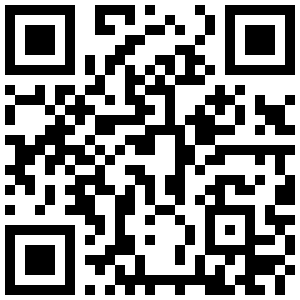 Budget QR Code